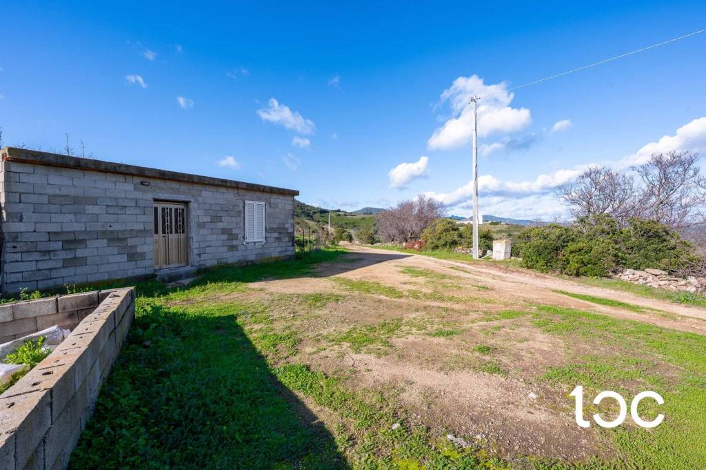 immagine annuncio 12 di 14