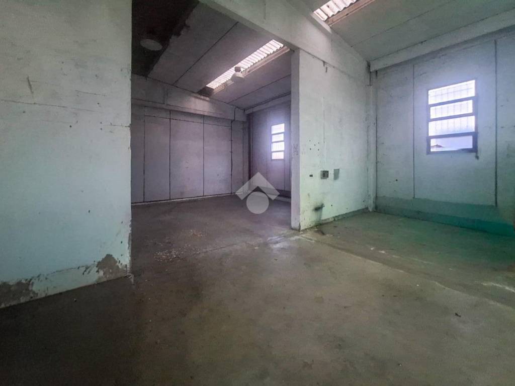 immagine annuncio 3 di 12