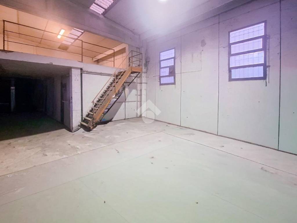 immagine annuncio 4 di 12