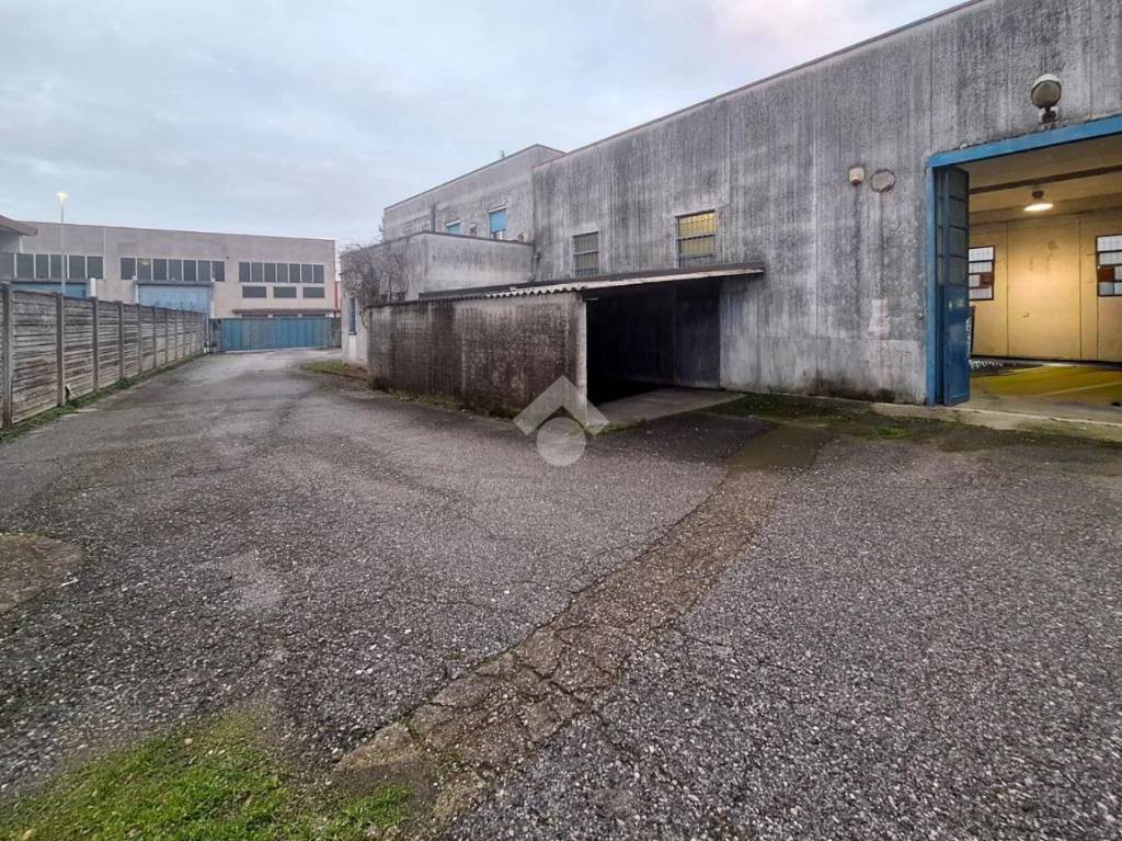 immagine annuncio 7 di 12