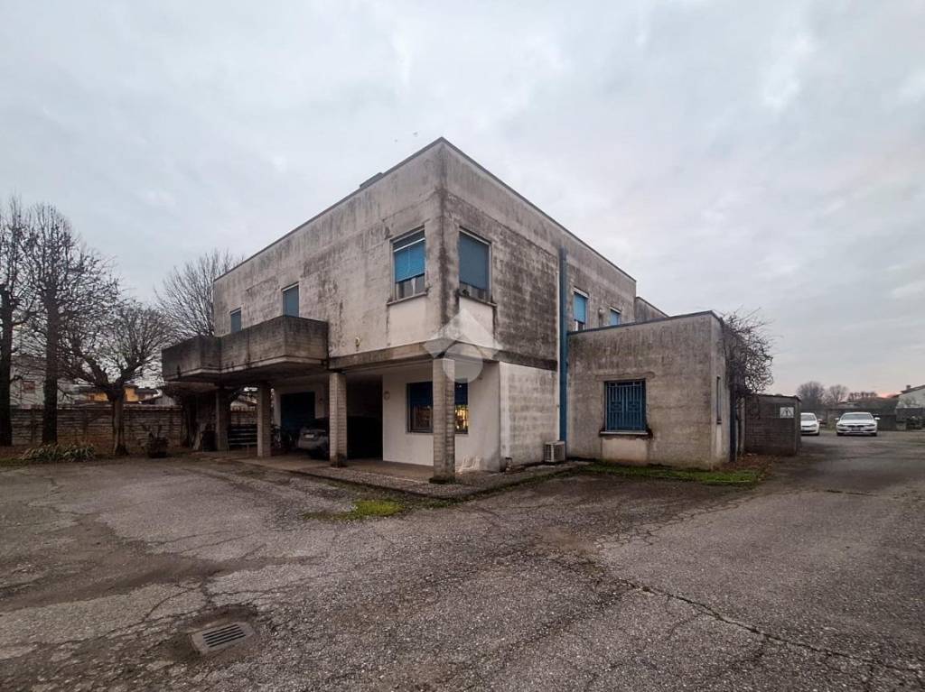 immagine annuncio 8 di 12