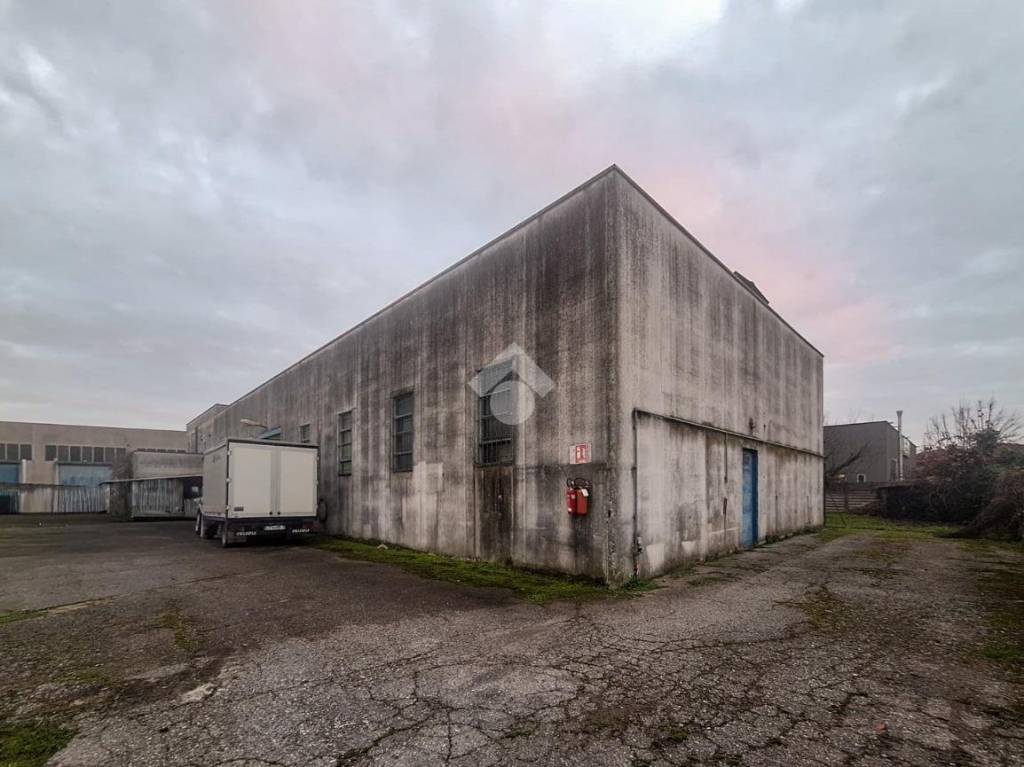 immagine annuncio 9 di 12