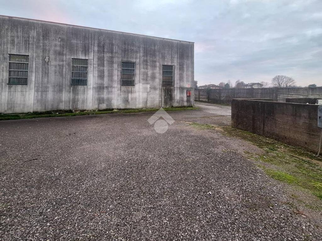 immagine annuncio 10 di 12