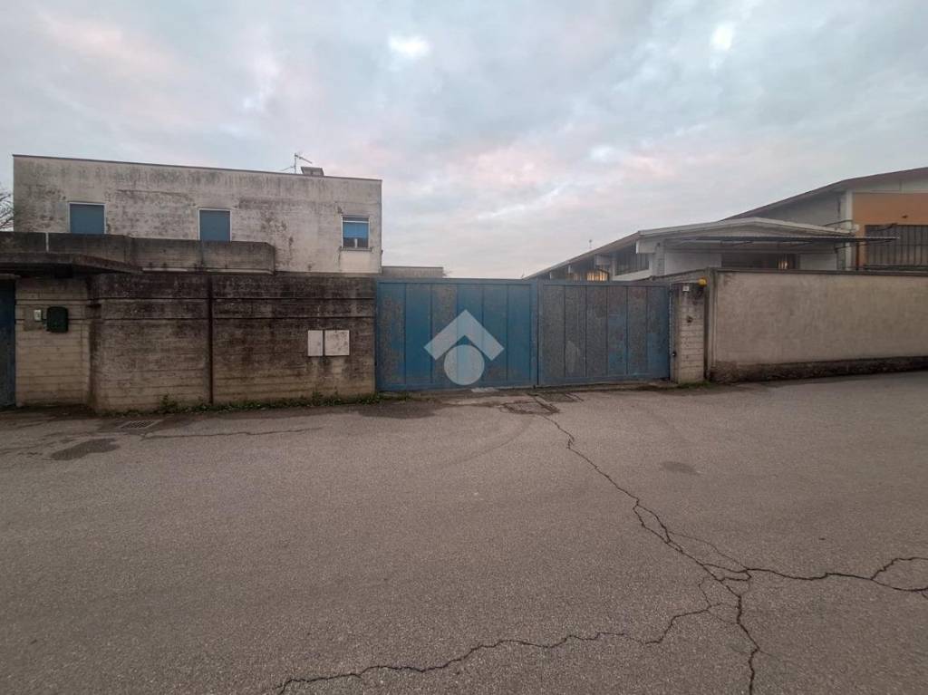 immagine annuncio 11 di 12