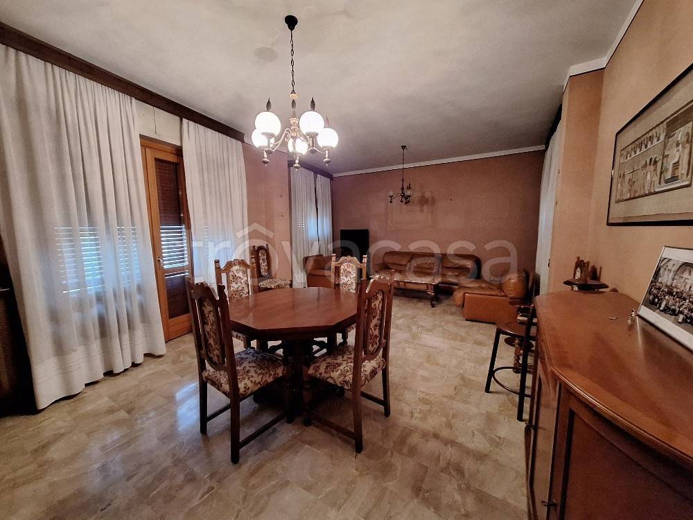 immagine annuncio 5 di 14