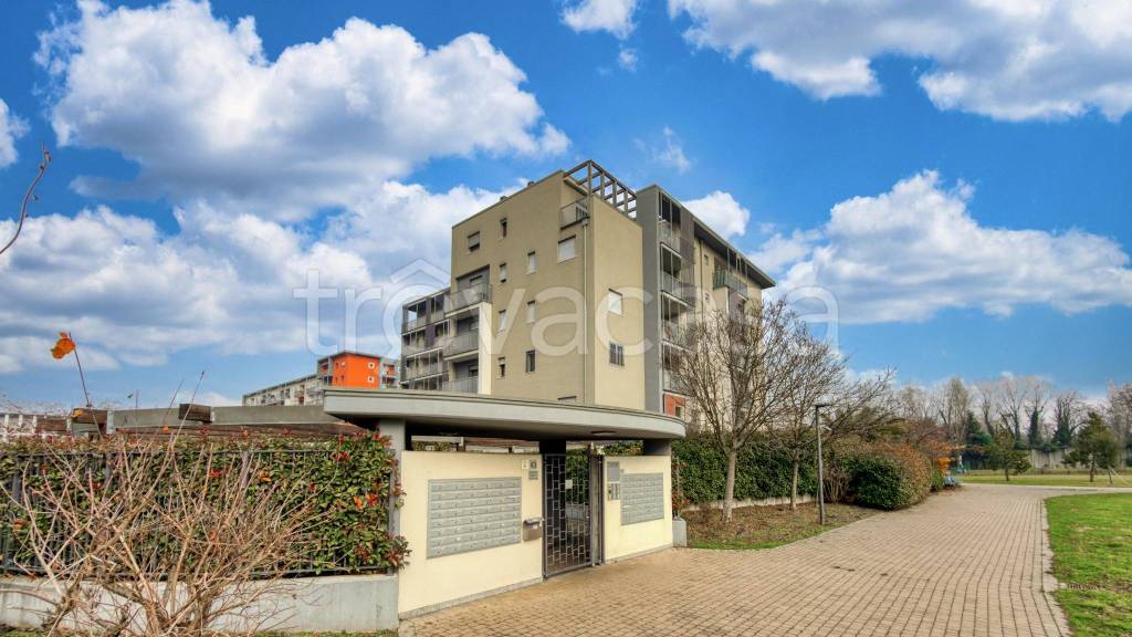 immagine annuncio 1 di 15