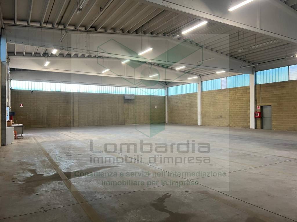 immagine annuncio 8 di 15