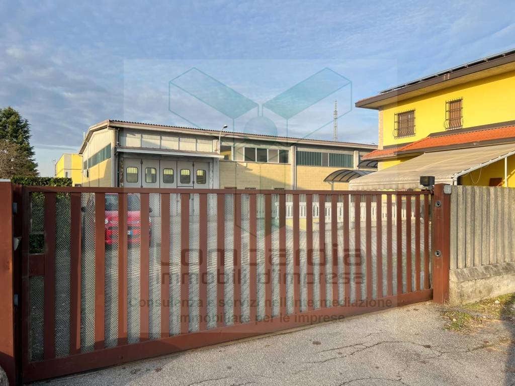 immagine annuncio 5 di 15