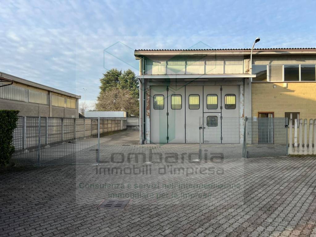 immagine annuncio 12 di 15