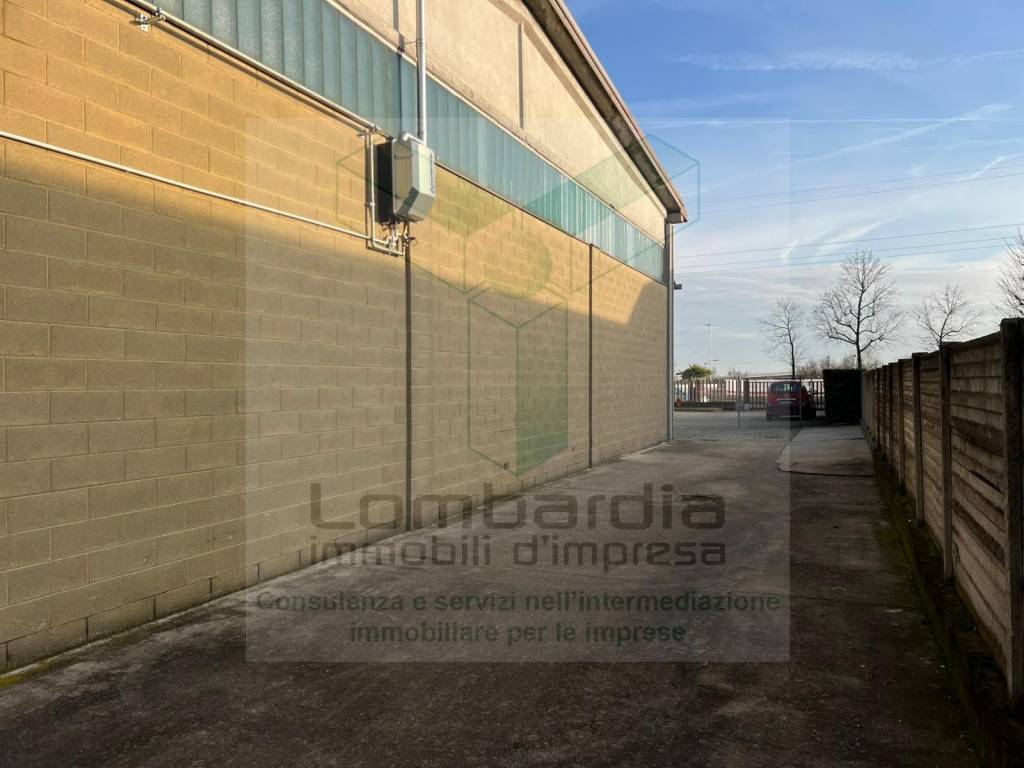 immagine annuncio 7 di 15