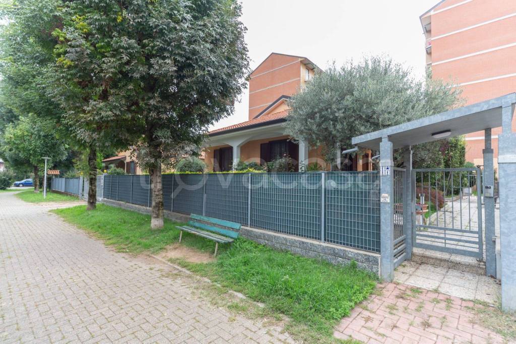 immagine annuncio 5 di 15