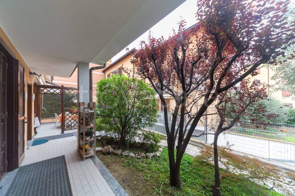 immagine annuncio 2 di 15