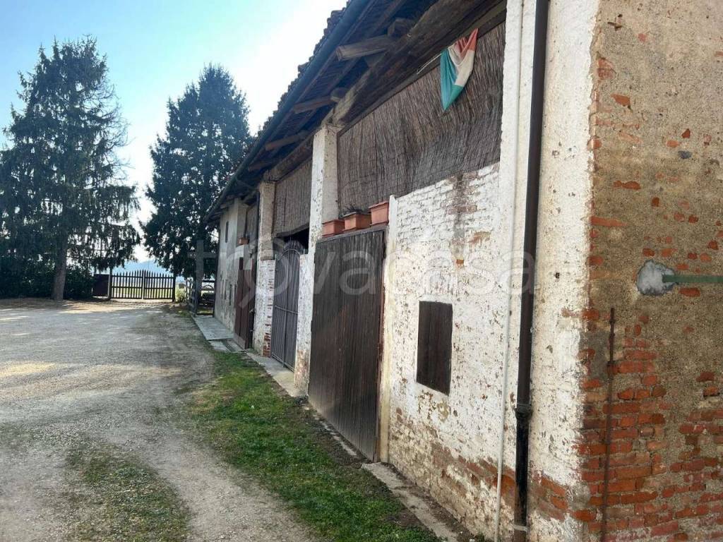 immagine annuncio 4 di 14