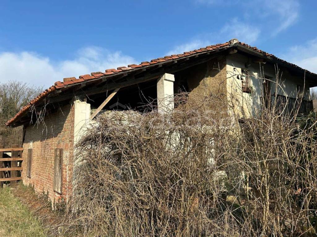 immagine annuncio 9 di 14