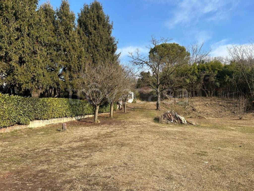 immagine annuncio 12 di 14