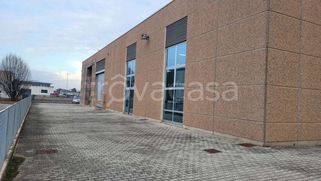 immagine annuncio 9 di 15