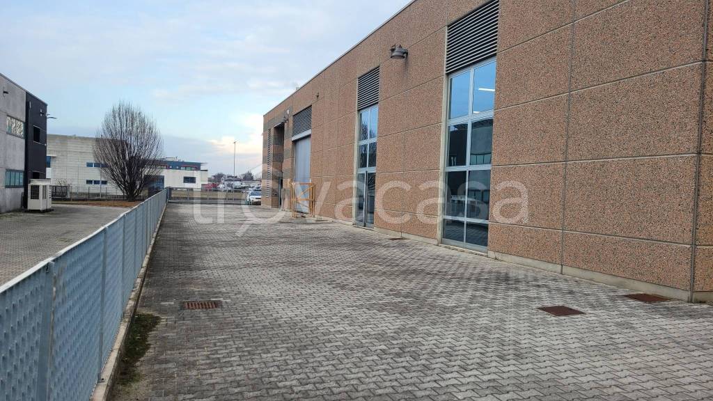 immagine annuncio 11 di 15