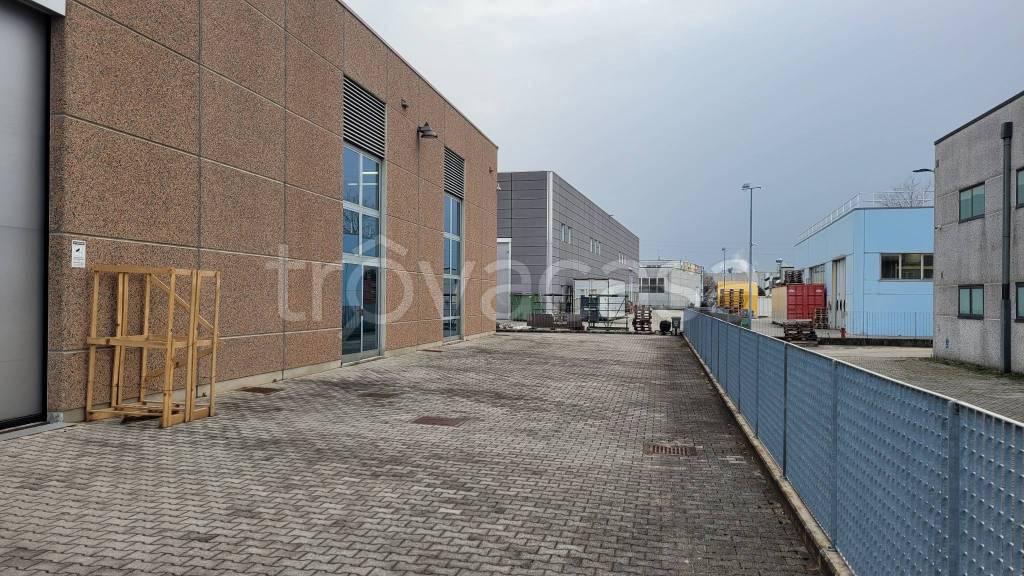 immagine annuncio 12 di 15