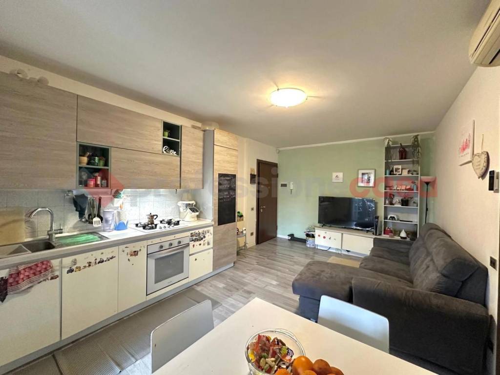 immagine annuncio 6 di 15