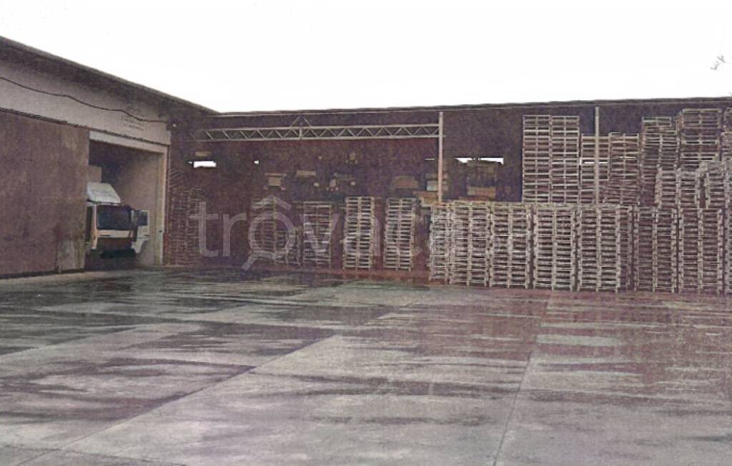 immagine annuncio 1 di 14