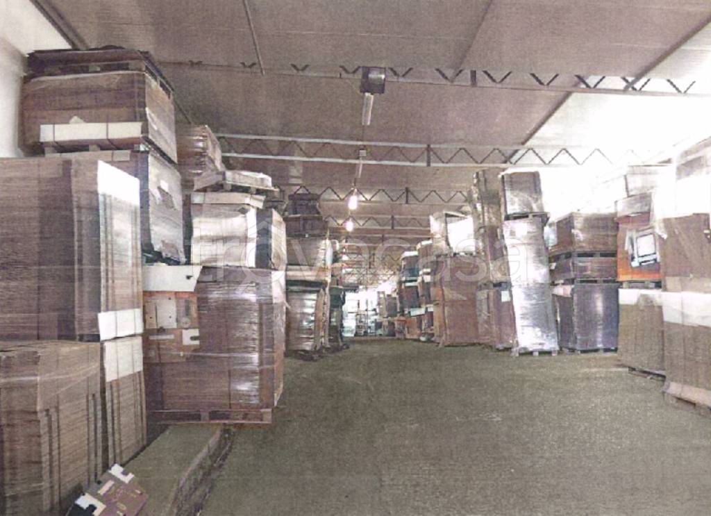 immagine annuncio 7 di 13