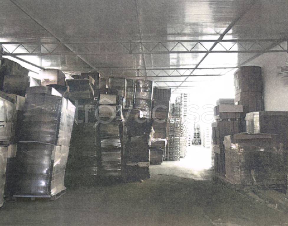 immagine annuncio 8 di 13