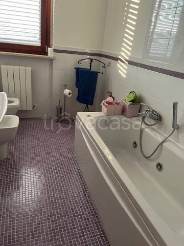 immagine annuncio 7 di 12