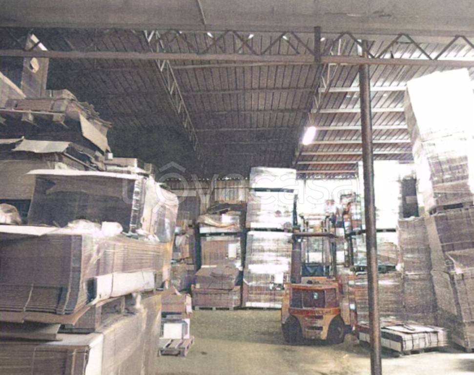 immagine annuncio 9 di 13