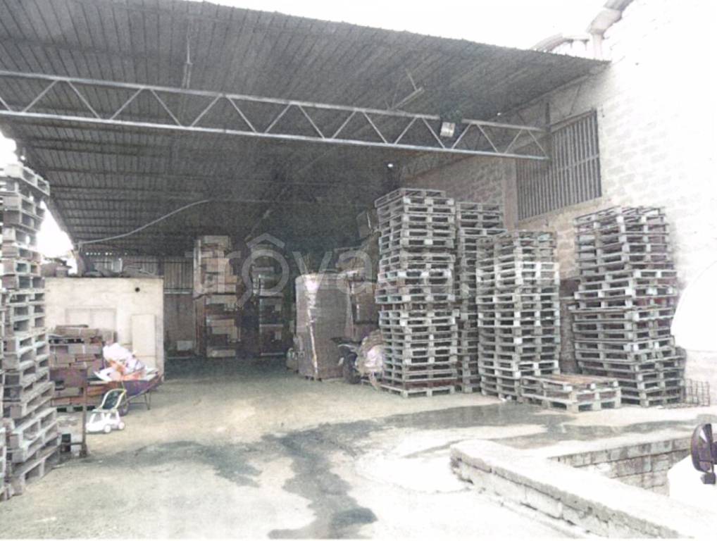 immagine annuncio 10 di 13