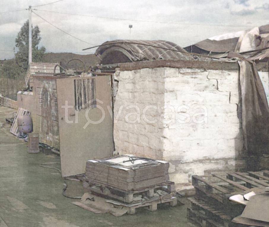 immagine annuncio 12 di 13