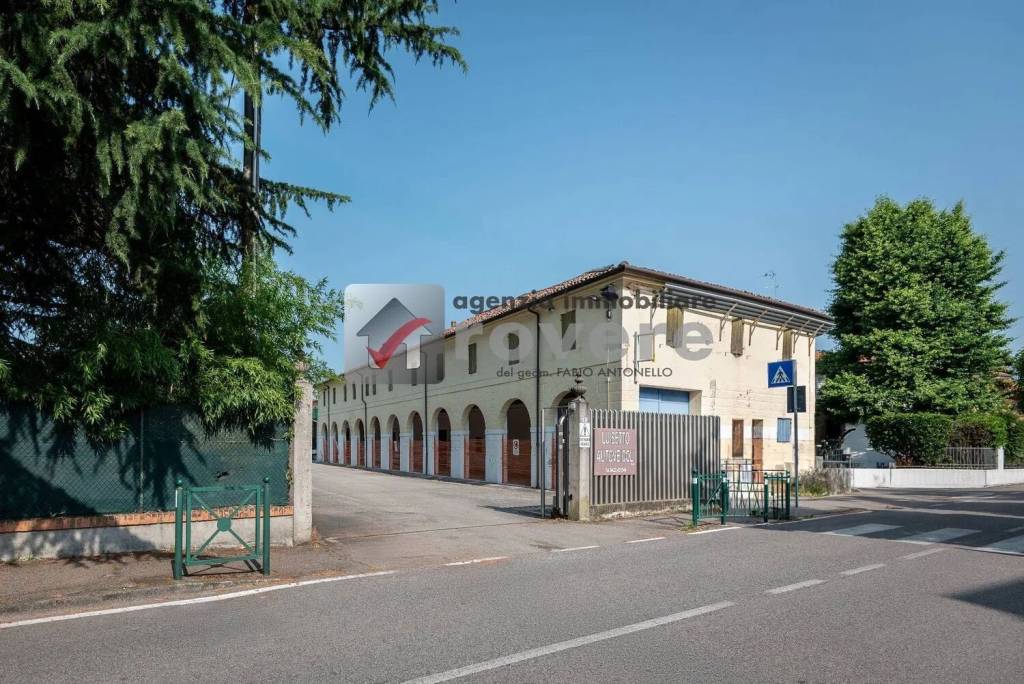 immagine annuncio 5 di 15