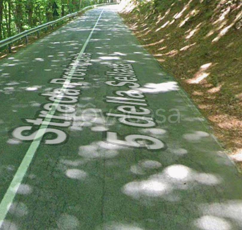 immagine annuncio 5 di 12