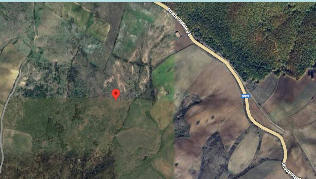 immagine annuncio 5 di 11