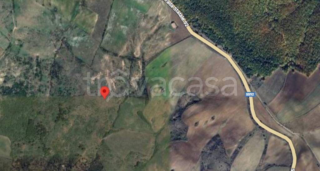 immagine annuncio 10 di 11