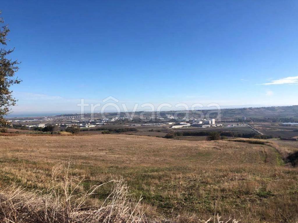 immagine annuncio 5 di 14