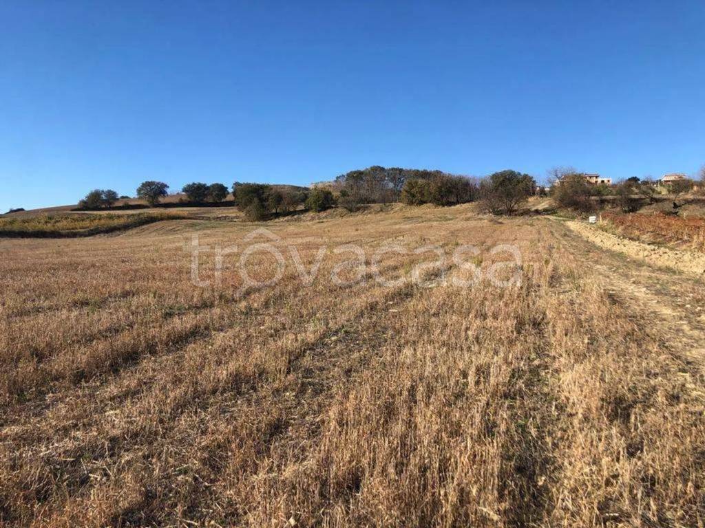 immagine annuncio 10 di 14