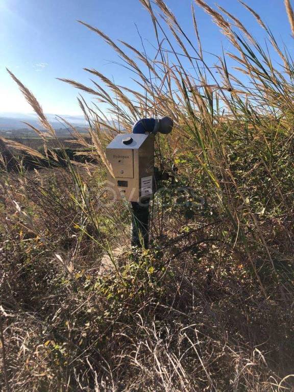 immagine annuncio 12 di 14