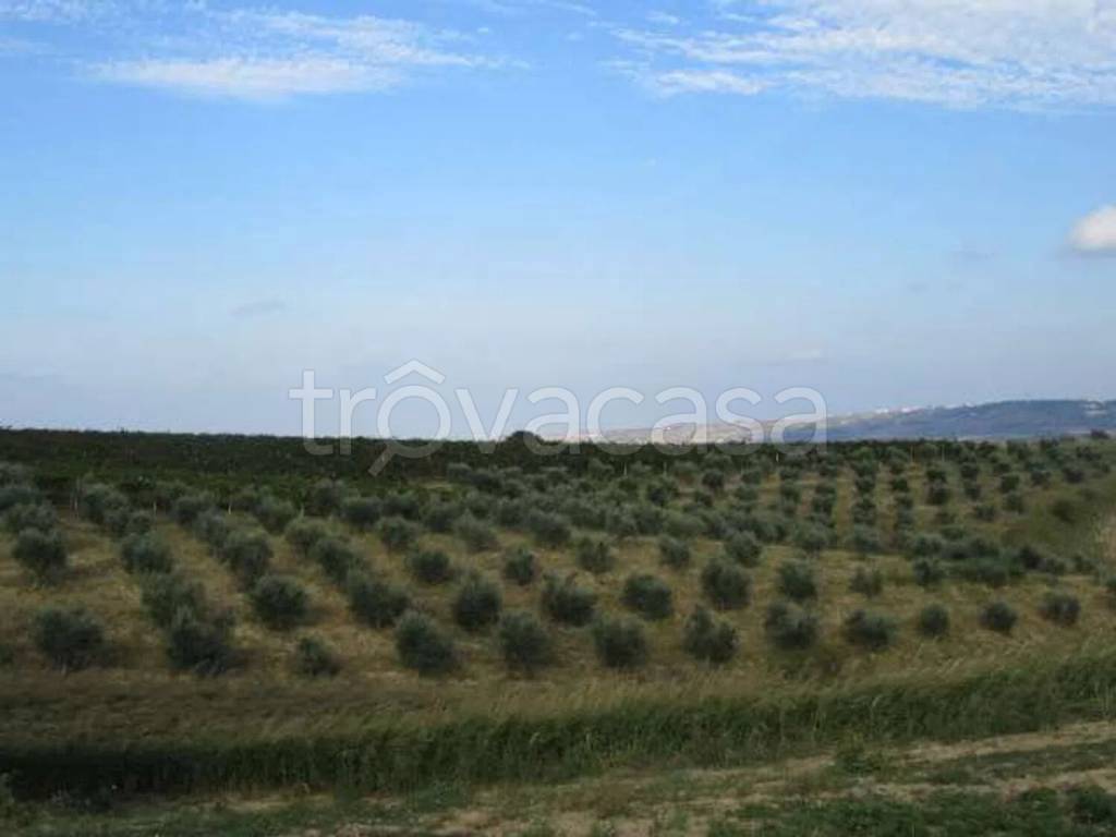 immagine annuncio 4 di 6