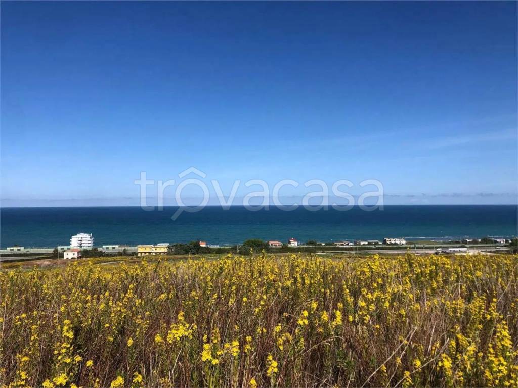 immagine annuncio 1 di 7