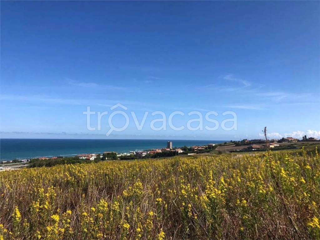 immagine annuncio 3 di 7