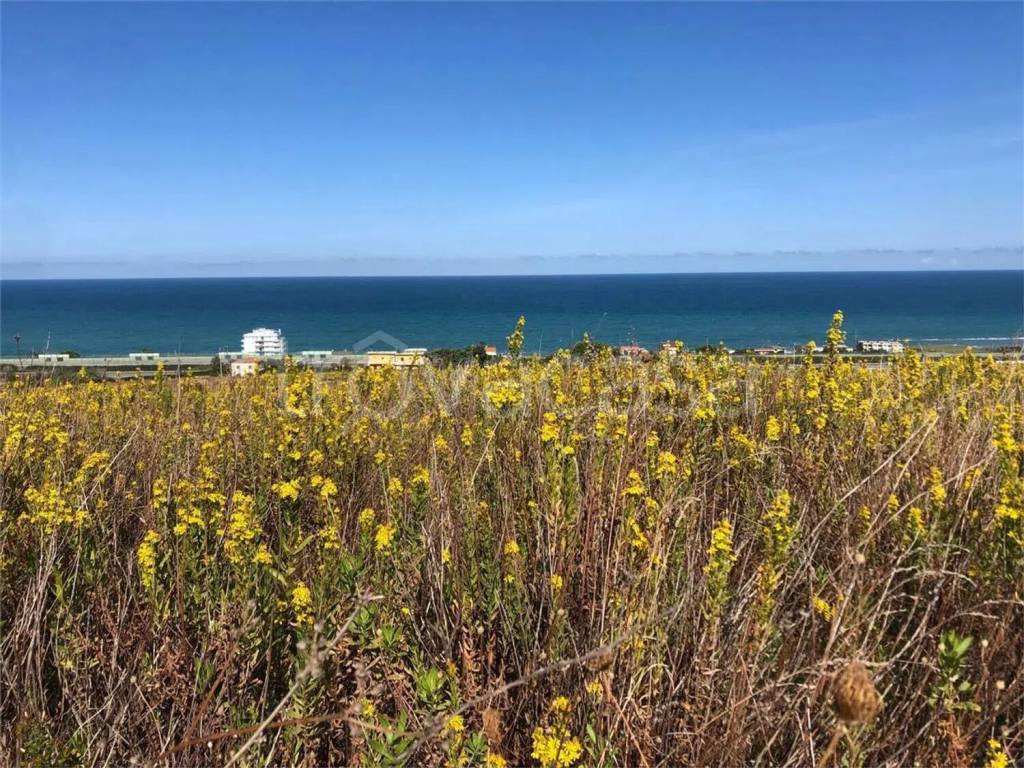 immagine annuncio 4 di 7