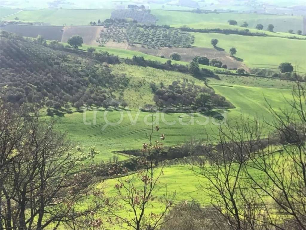 immagine annuncio 3 di 8