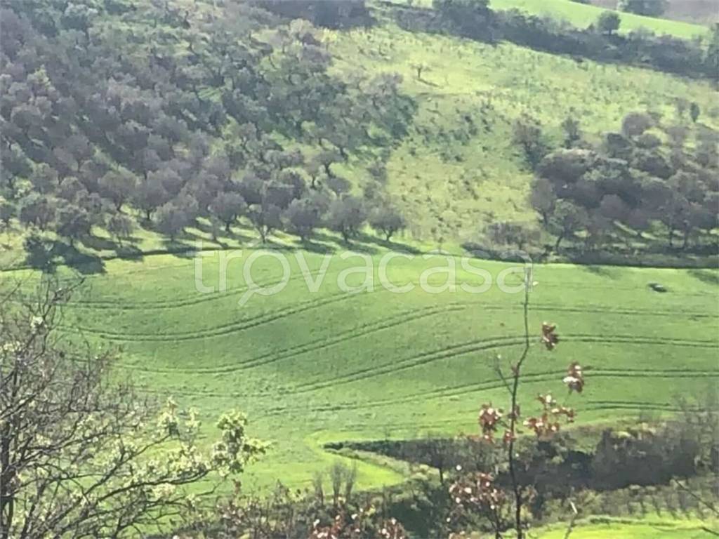 immagine annuncio 4 di 8