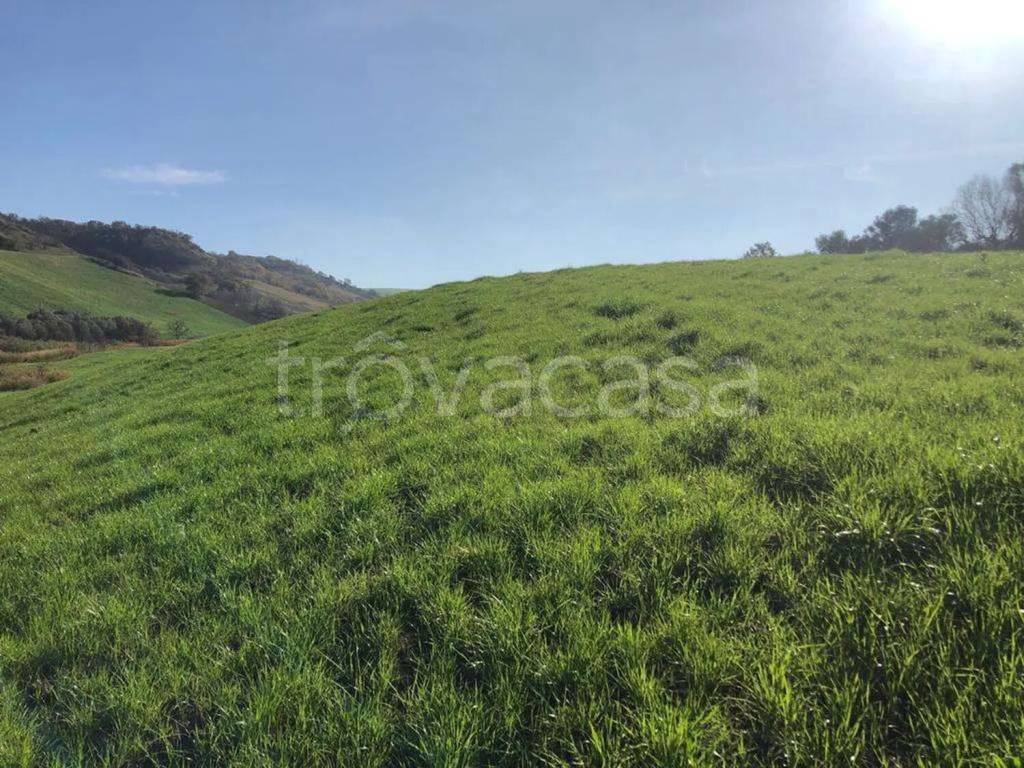 immagine annuncio 6 di 8