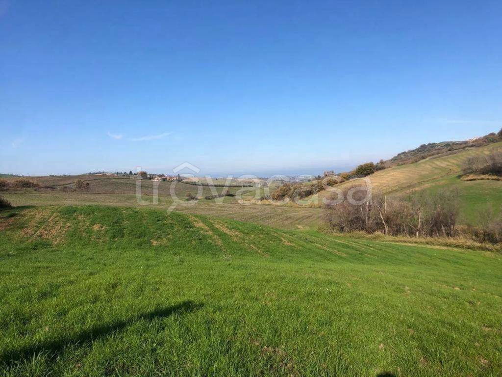 immagine annuncio 7 di 8