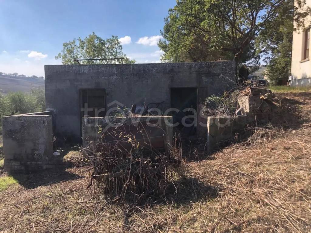 immagine annuncio 8 di 11