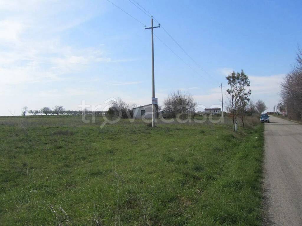 immagine annuncio 2 di 8