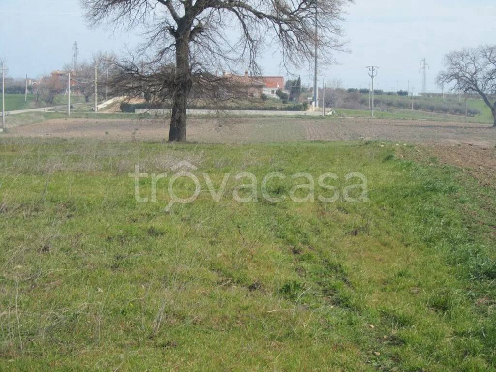 immagine annuncio 4 di 8