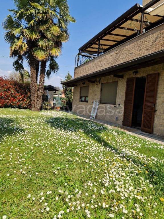 immagine annuncio 3 di 15