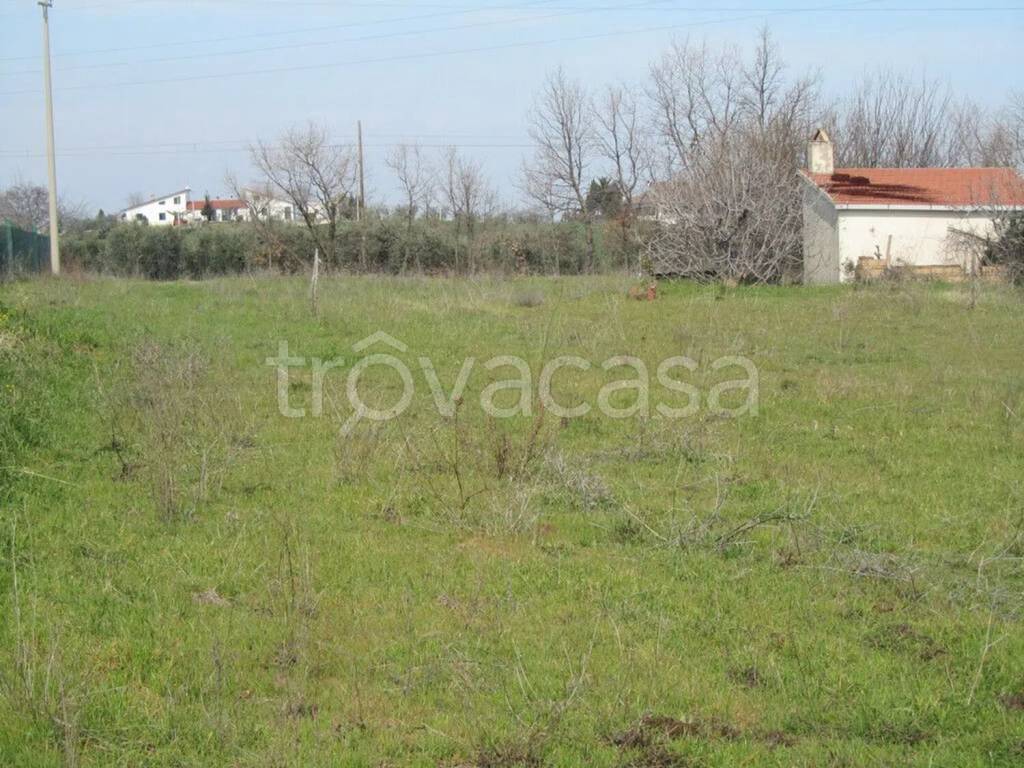 immagine annuncio 5 di 8